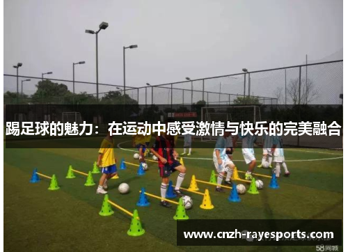 踢足球的魅力：在运动中感受激情与快乐的完美融合